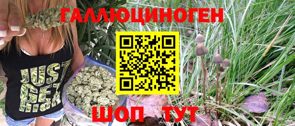 Галлюциногенные грибы Magic Shrooms Знаменск