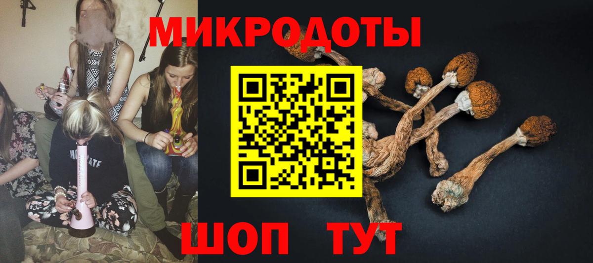 Псилоцибиновые грибы прущие грибы  Вход с VPN  Знаменск 